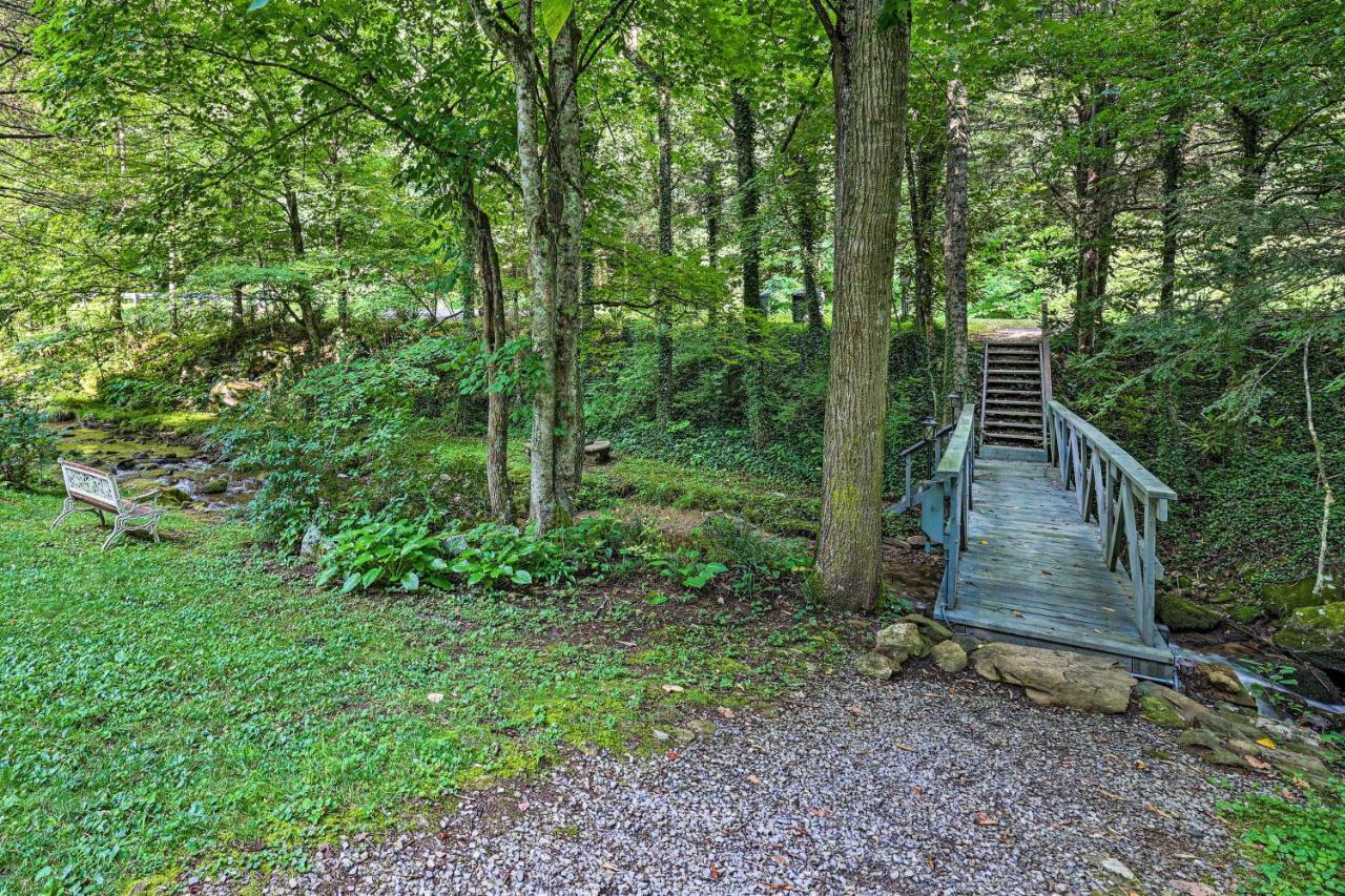 Creekside Roan Mountain Cabin Walk To Trails 외부 사진