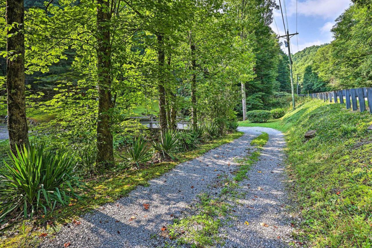 Creekside Roan Mountain Cabin Walk To Trails 외부 사진